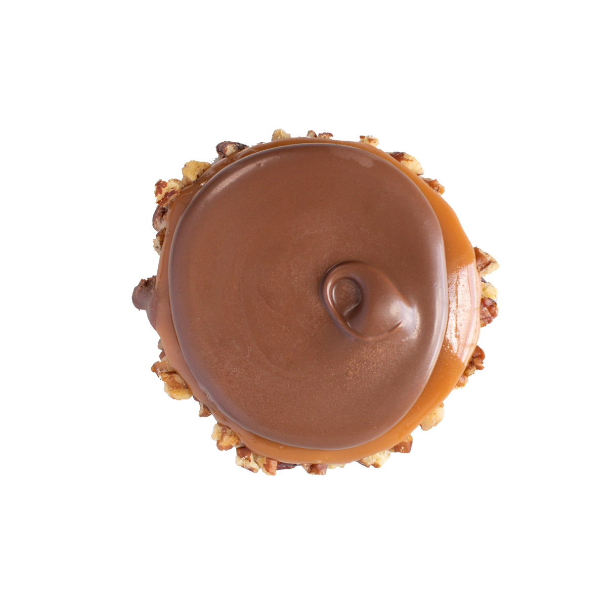milk chocolate bear claw