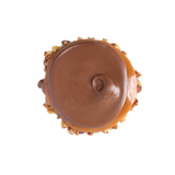 milk chocolate bear claw