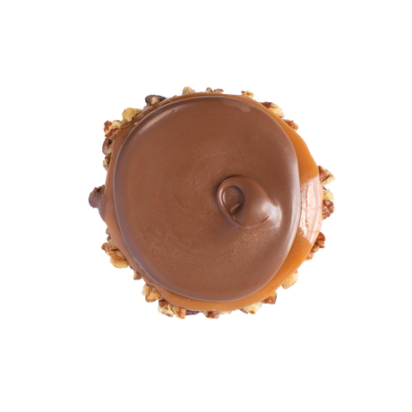 milk chocolate bear claw