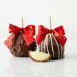 Two chocolate-dipped apples with red ribbons on a white background