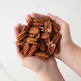 Hand holding a handful of pecans against a white background